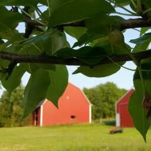 Meet your Posher, Donna